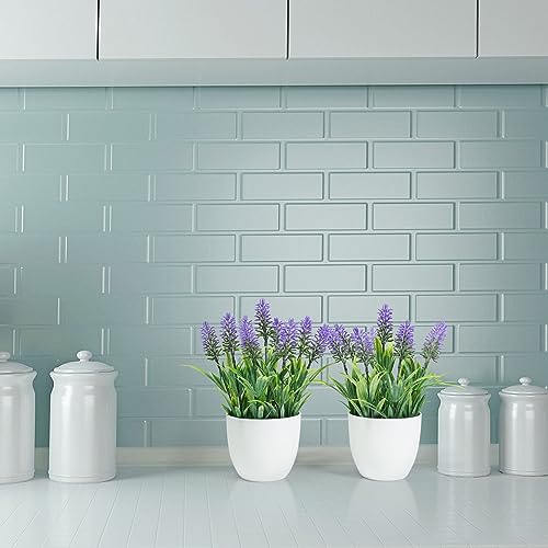 Mejores review On-line Lavanda planta precio tabla con los diez mejores. 9 Imagen adicional