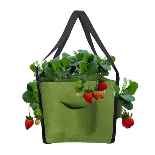 Dinchaakuarry De Cultivo De Fresas De Cultivo Plantador Plantador 5 Galones Balconía Cultivo Plantero Plancha/Planta De Cultivo Vertical De Cultivo De Cultivo Br