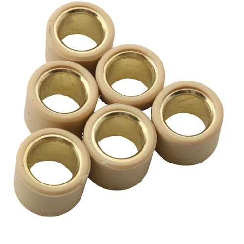 Rouleau de variateur 20x17mm pour vos trajets quotidiens en C1