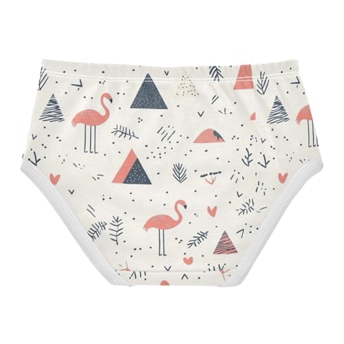 ZZKKO Geometric Flamingo Abstract Girls Underwear Toddler Panties for Girls Comfort Brief Size 2-8T2