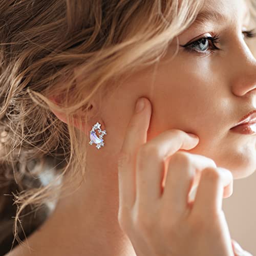 Bdl Moon And Star Earrings - Sterling Silver Crystal 5A Cubic Zirconia Stud Aurora Borealis Earrings Jewelry Birthday Gifts For Women Teen Girls #TOP4