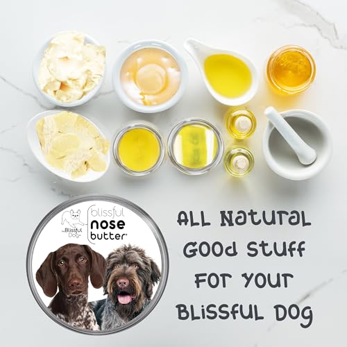 Image of The Blissful Dog German Shorthaired Pointer Nose Butter, Versatile Dog Nose Balm for Dry Nose, Handcrafted Nose Moisturizer, Easy-to-Apply Dog Essentials, Unscented, 2 oz.