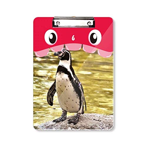 Porte-bloc A4 Pingouin Antarctique Science Nature pour archivage rigide