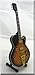 MERLE TRAVIS Miniature Guitar Country Super