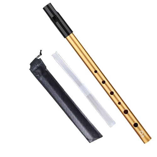 Flûte Irlandaise Tin Whistle Tonalité D Son Exceptionnel Flûte à Bec Pour Débutants Amateurs...