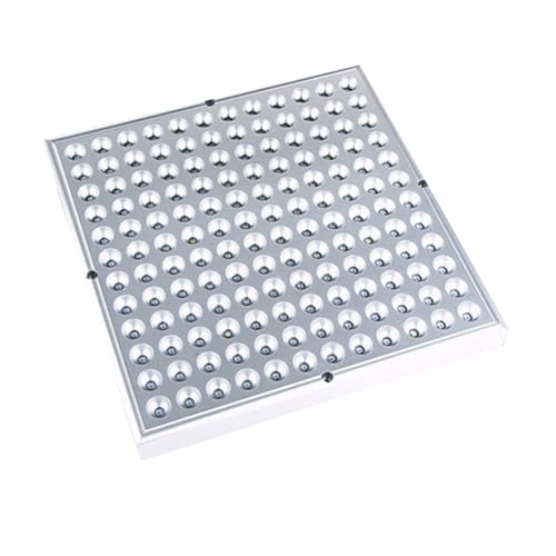 Lampada per piante grasse: una lampada completa, fornisce una luce più uniforme, necessaria alle piante, luce per la crescita delle piante