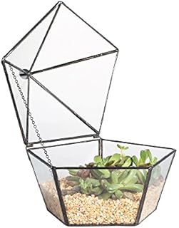 NCYP Modern Clear Glass Jewelry Box with Swing Lid, Geometric Pentagon Shape Terrarium for Succulent Moss Fern, Garden Display Planter Tabletop Decor Centerpiece Container (NO Plants, Terrarium Only)