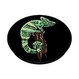 Zoom IMG-1 chameleon tropical lizard cool jungle Zoom IMG-1 chameleon tropical lizard cool jungle