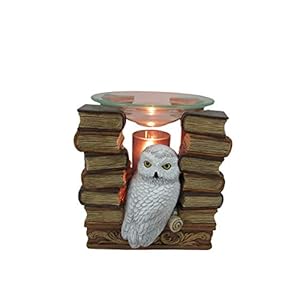 World of Wonders Essence of Magic Owl Oil Burner | Electric Wax Fragrance Melter | Aromatherapy Lamp Home Decor Accent Light