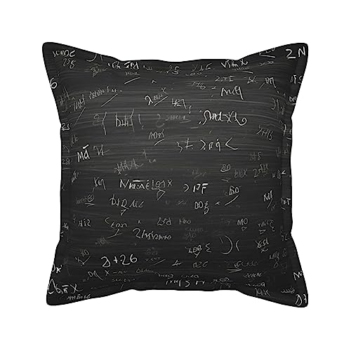 Housse de coussin en cuir 45,7 cm, solution durable contre les taches - 2