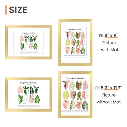 Image of upsimples A4 Picture Frame, Display Pictures 6x8 with Mat or 8.3 x 11.7 Without, Wall Hanging Photo Frames, Gold, 1 Pack