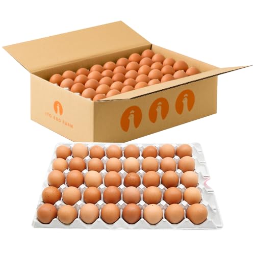 いとう養鶏場 [うみたて新鮮]いとう君ちのあっぱれ卵80個(76個+割れ補償4個)