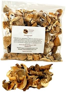Dried Oyster Mushrooms - 4 Oz. Bag - Dehydrated Edible Gourmet Pleurotus Ostreatus Fungi