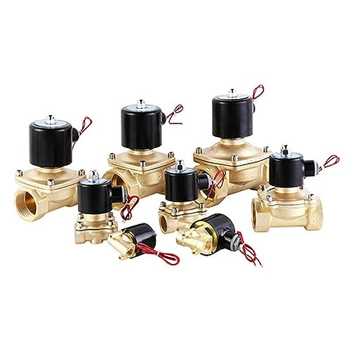 Électrovanne eau DN25 en laiton 220V pour automatiser l'arrosage du jardin