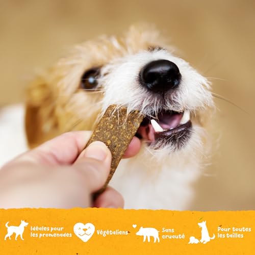Benevo Vegane Hundekauartikel (20 Stück, 180 g), leicht zu zerreißen und zu teilen, kaltgepresste Trainings-Leckerlis, frei von Fleisch, Milchprodukten und Soja, vegetarisch, hypoallergen,