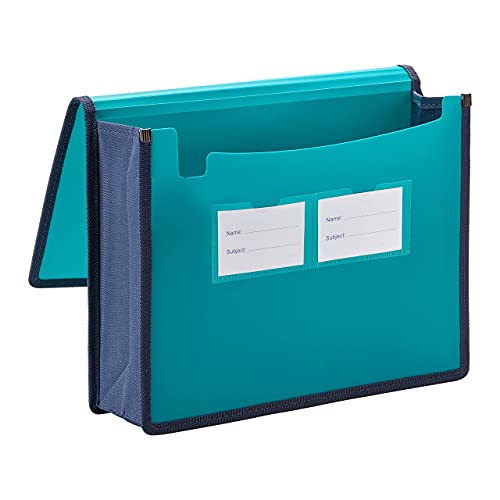 Fanwu 4 Pack Plastic Expanding File Wallet Document Organizer With Elastic Cord & Button Closure, Letter Size, 3.5" Expansion, Poly A4 Expandable File Folder For School Office Home Organization #TOP4
