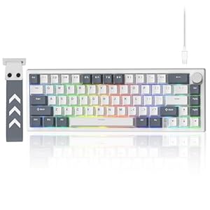 LQXQ VK66 PRO 60% Gaming-Tastatur mit Kabel, VIA Creamy Mechanische Tastatur, Hot-Swap-Fähige RGB Tastatur mit Gasket Mount und durchsichtigen Tastenkappen (Weiß)