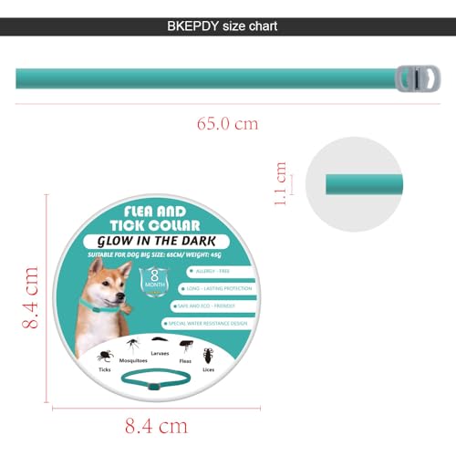 Zeckenhalsband für Hunde Leuchtendes Präventionshalsband gegen Parasiten auf Jede Größe verstellbar 2 STK Einstellbares Floh und Zeckenschutz mit bis zu 8-Monatigen Schutz (Green)