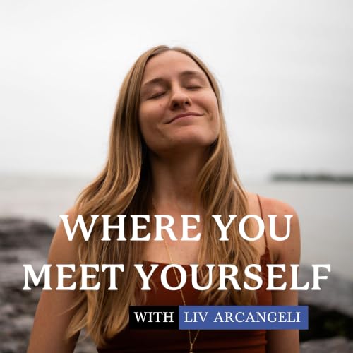 Couverture de Where You Meet Yourself