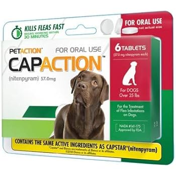 bayer advantus oral flea treatment