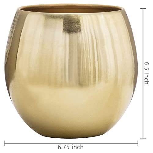 Mygift 6-Inch Brushed Brass Plated Metal Table Vase - Round Bowl-Shaped Succulent Planter Pot - Handcrafted In India #TOP3