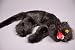 Produktbild Panelize Schwarze Katze Tote Katze Halloween-Dekoratin Hexe Vogelschreck