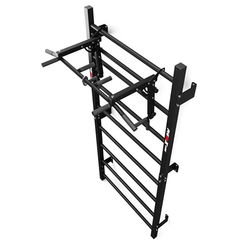K-Sport: Trainingsset - Sprossenwand mit Dip Station & Klimmzugstange I Kraftstation mit Pull-Up Bar, Dip Stange für anspruchsvolle Workouts, inkl. E-Book