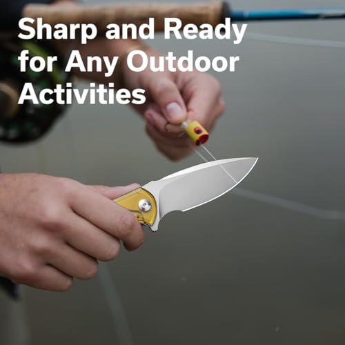 CIVIVI-Mini-Praxis-Pocket-Knife-for-EDC-Folding-Pocket-Knife-with-298-D2-Blade-Ultem-Handle-with-Flipper-for-Men-Women-C18026C-4