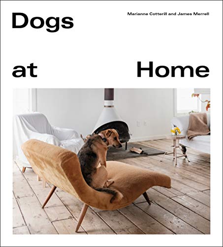 Dogs at Home (English Edition)