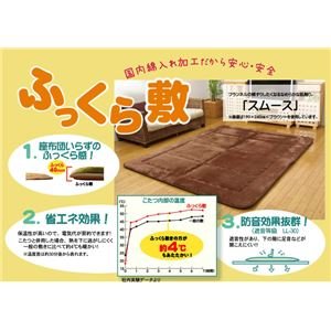 YŖ40mmgp tln ӂ~ wX[XF~x x[W 190×240cm ds-1452152