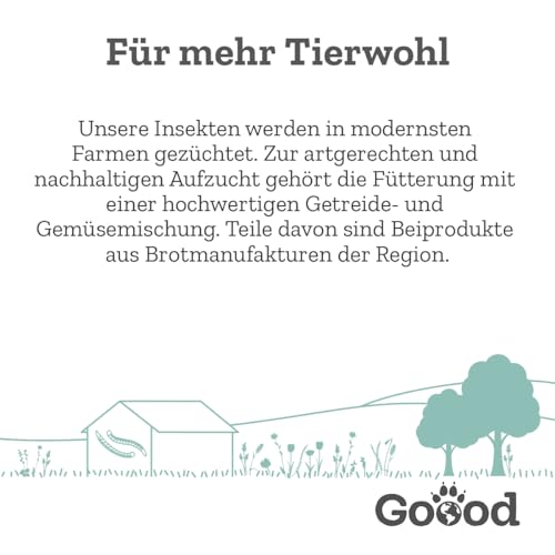 Goood Adult nachhaltige Insekten – Trockenfutter, Hundefutter – weizenfrei, Alternative Proteinquelle, leicht verdaulich – große Kroketten – für ausgewachsene Hunde – 1,8kg