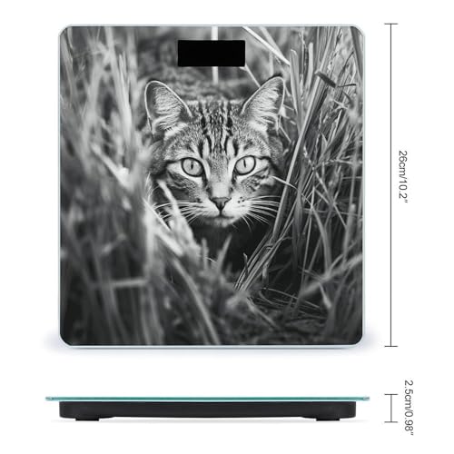 Báscula digital de baño con pantalla LCD y vidrio templado miniatura 2