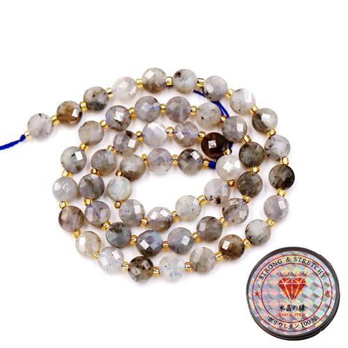 Fukugems Perles de pierres précieuses pour la fabrication de bijoux, Perles rondes plates en pierre naturelle labradorite A 10mm