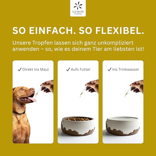 Lemon Pharma Bachblüten Tropfen Angst für Tiere – Beruhigung, Anti Stress für Haustiere, für Katzen und Hunde, Bio & Vegan