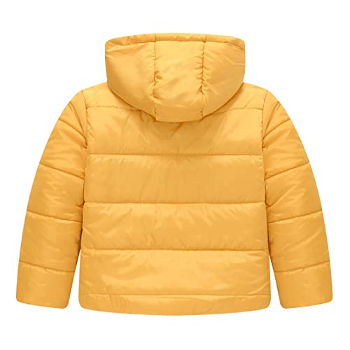 Baby Boys Girls Puffer Hooded Zipper Long Sleeve Lightweight Jacket Winter Warm Comfy Solid Outwear with Pocket2
