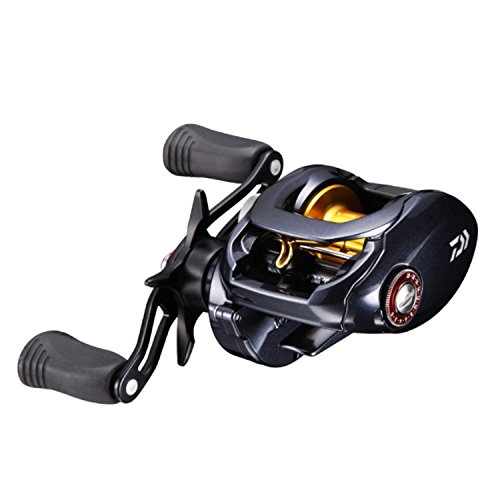 ダイワ リール タトゥーラ 100SH-TW 1枚目