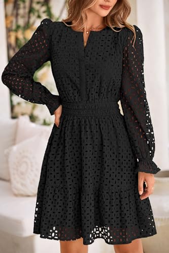 PRETTYGARDEN Women's 2025 Long Sleeve Mini Dress Eyelet V Neck A Line Casual Elegant Holiday Wedding Guest Party Dresses4