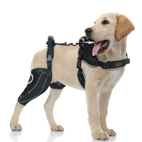 Image of Dog ACL Knee Brace for Torn ACL & Luxating Patella-Adjustable Leg Support with Sufficient Wrapping and Support, Non-Slip Joint Brace for Dogs, Pain Relief & Better Recovery-Right Leg-XL