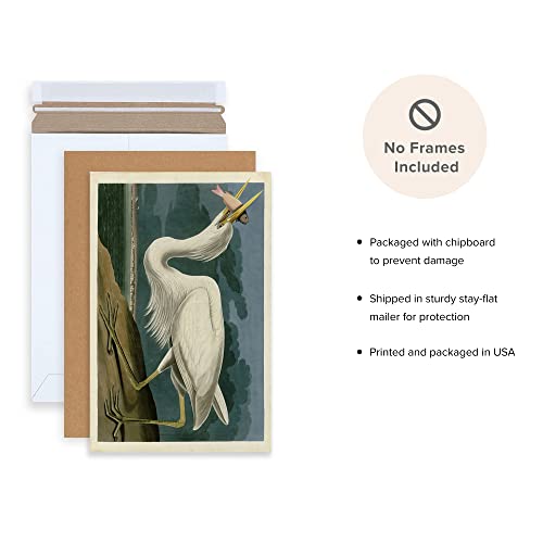 Ujoyful Vintage Pink And White Heron And Stork Birds Print | Set Of 2 Wild Bird Wall Art | Freshwater Wading Bird Decor | Audubon Bird Painting Set For Home, Office Wall Decor (11"X17" Unframed) #TOP2
