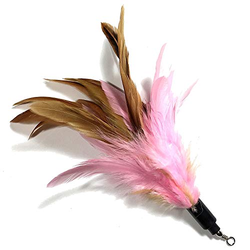 8 Stück Katzenspielzeug Feder, Katzenangel Ersatzfedern Anhänger Federn Katzen Spielzeug für Katze – Bild 3