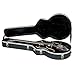 Gator Cases Deluxe ABS Molded Case for 335 Style Semi Hollow Electric Guitars, (GC-335)