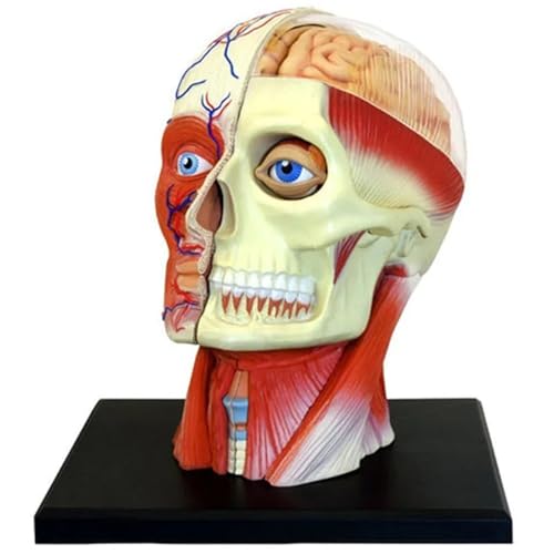 gݗĂꂽlԂ̍iUfpiȊwUwif