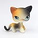 Action Figures Pet 106 cat Short Hair Kitty Toys for Kids