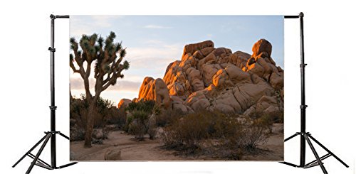 Leowefowa 7X5Ft Vinyl Photography Backdrop Nature Rock Stone Trees Green Plants Desert Blue Sky White Cloud Background Baby Kids Lover Photo Studio Props #TOP2