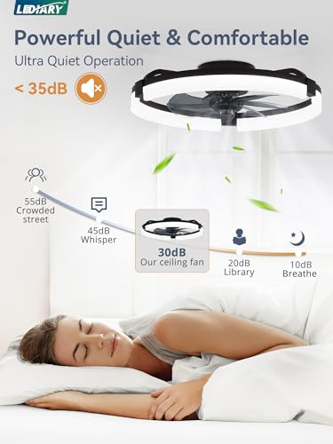 Image of LEDIARY 2 Pack 20 inch Ceiling Fans with Lights and Remote, Low Profile Ceiling Fan, 3 CCT, Stepless Dimmable, Fandelier Flush Mount Fan Light, 6 Speeds, DC Motor, App & Remote Control for Bedroom(Black)