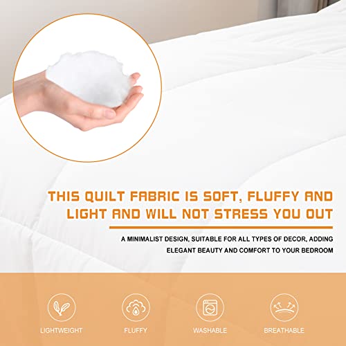 Hulawao All Season Soft Down Comforter, Alternative Bed Quilt, Reversible Corners, Winter Summer Warm & Fluffy Quilt Full Size (White, Oversize Queen) #TOP5