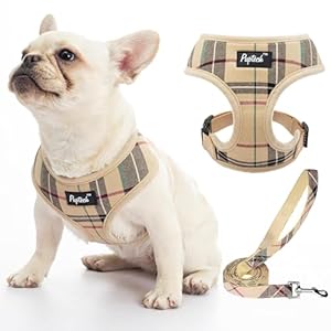 PUPTECK Soft Mesh Dog Harness and Leash Set Pet Puppy Cat Comfort Padded Vest No Pull Harnesses, Beige, S