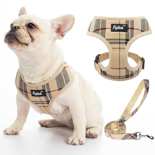 PUPTECK Soft Mesh Dog Harness and Leash Set Pet Puppy Cat Comfort Padded Vest No Pull Harnesses, Beige, S
