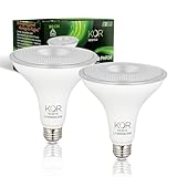 KOR LED PAR38 Flood Light Bulbs, 2 Pack, Dimmable 100W Equivalent, 3000K Warm White, Indoor Outdoor 15W Spotlight Bulb, E26 Base, 1250 Lumens, Frosted Finish, Wet Rated, UL Listed