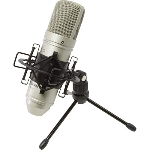 Tascam TM-80 Large Diaphagm Condenser Microphone,Silver cover
